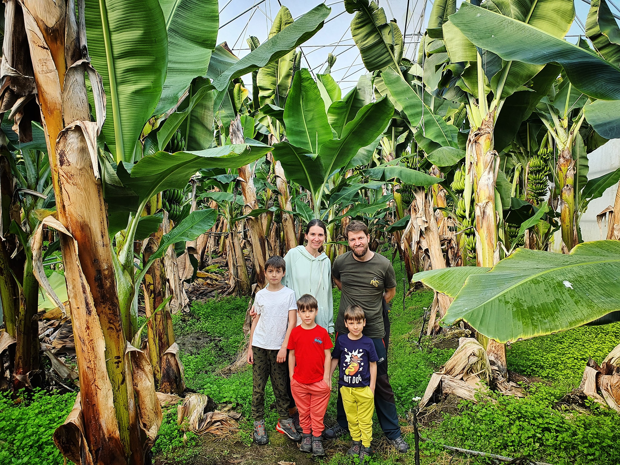 Familia Hajos într-o pădure tropicala